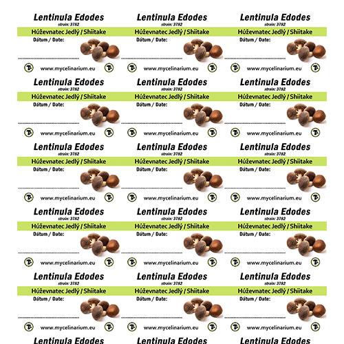 Etikety 21ks 63*40mm Lentinula edodes 3782 (Shiitake kmeň 3782)