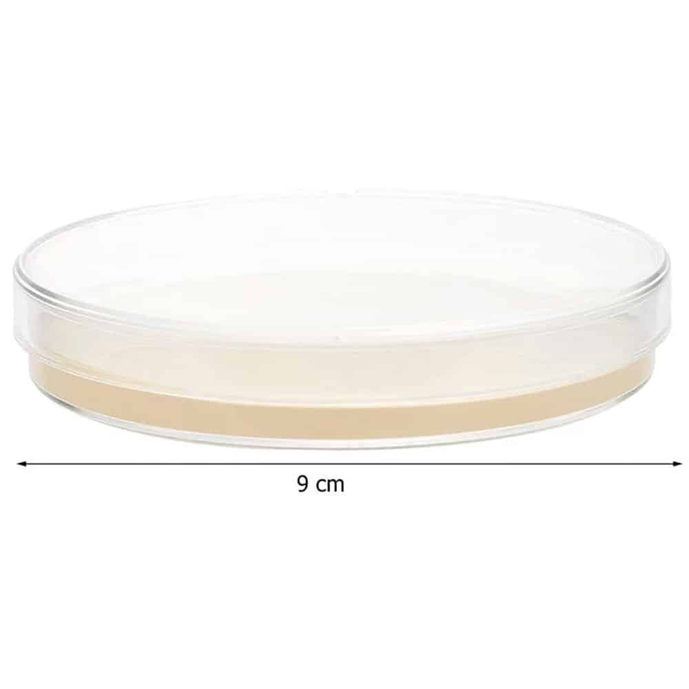 Petri dishes with agar 90 mm Mycelinarium