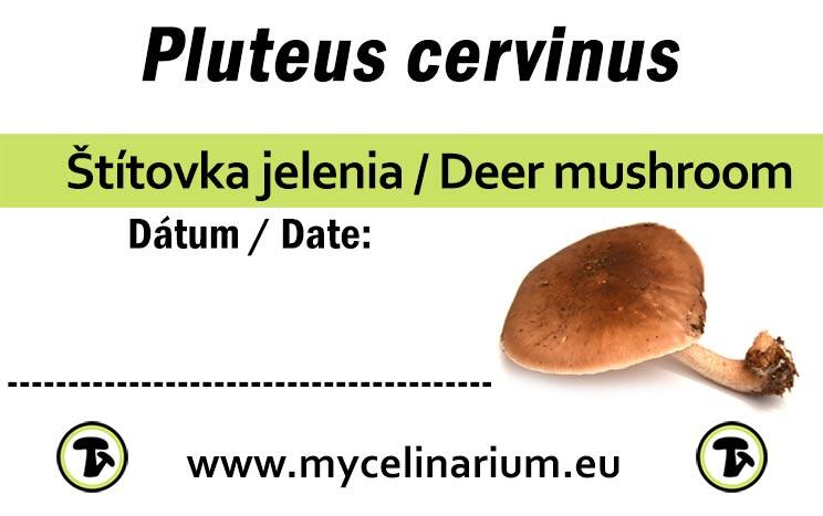 Petit sac avec filtre - Mycelinarium - pour la culture des champignons