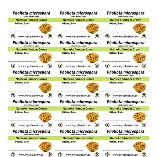 Etykiety 21 szt. 65*40mm Pholiota Microspora - Nameko - Amber Crown