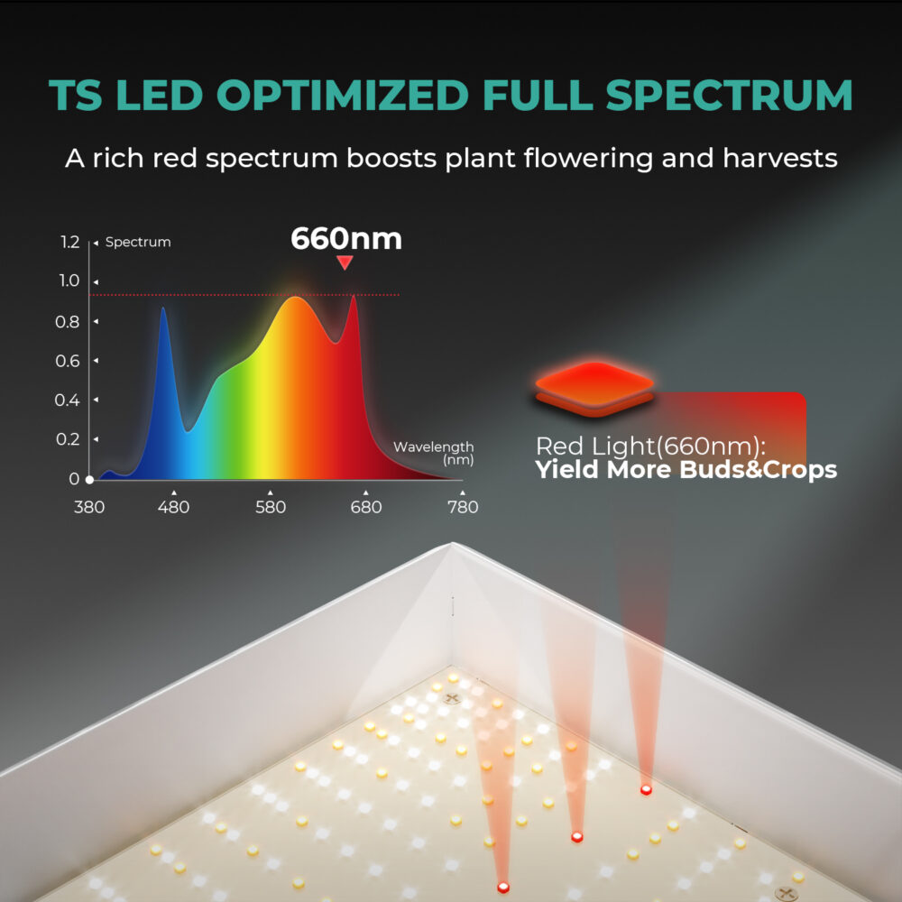 Mars Hydro TSW 2000 Full Spectrum LED Grow Light 300W - Image 6