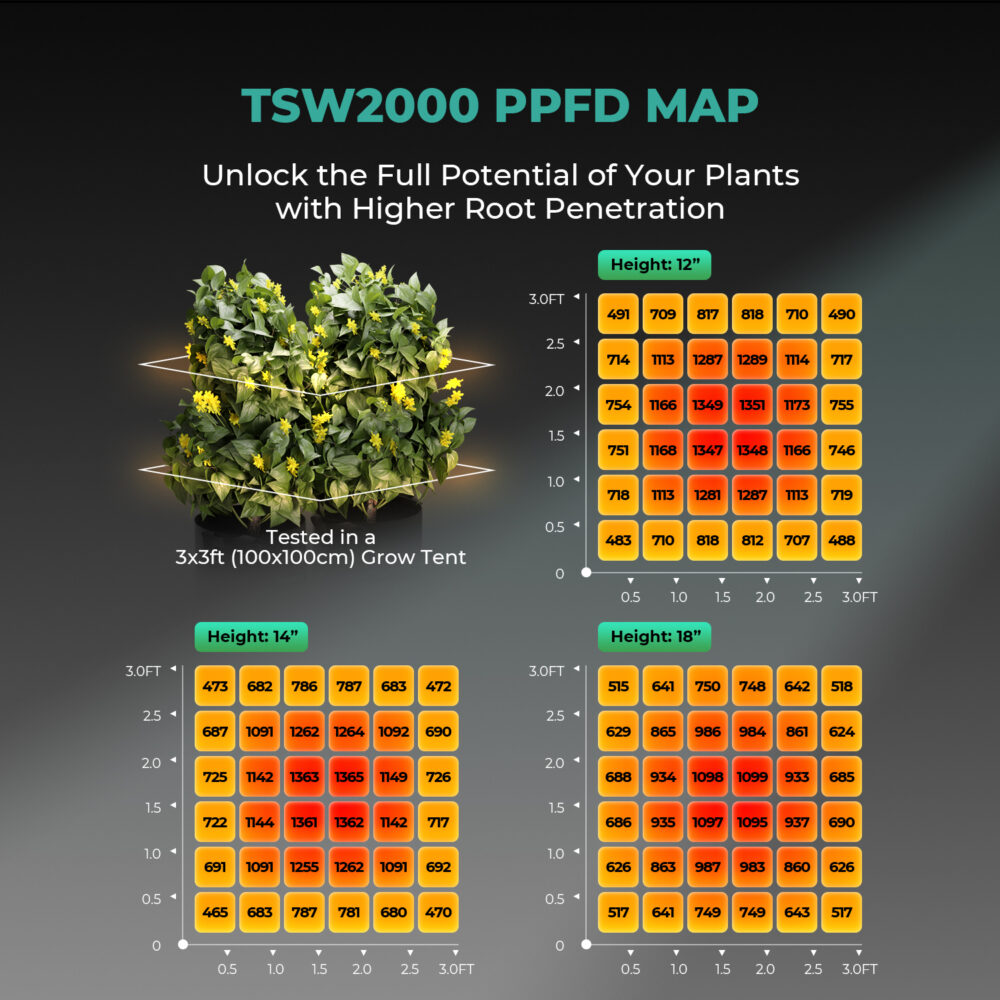 Mars Hydro TSW 2000 Full Spectrum LED Grow Light 300W - Image 8