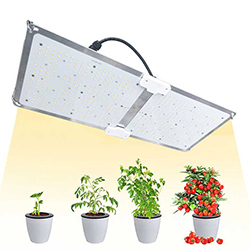 LED grow panely